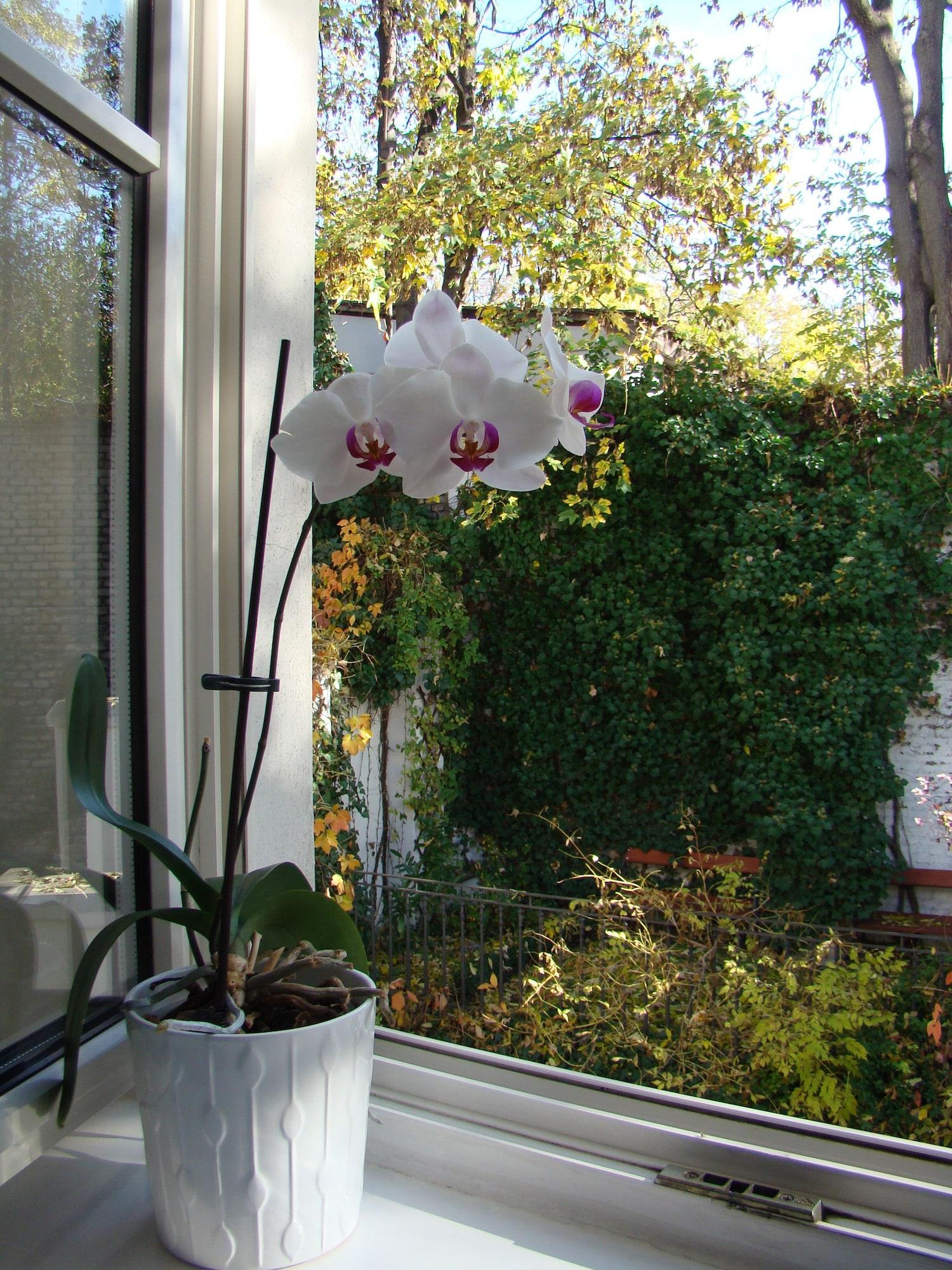 Boutique Hotel 16 Praha Bagian luar foto
