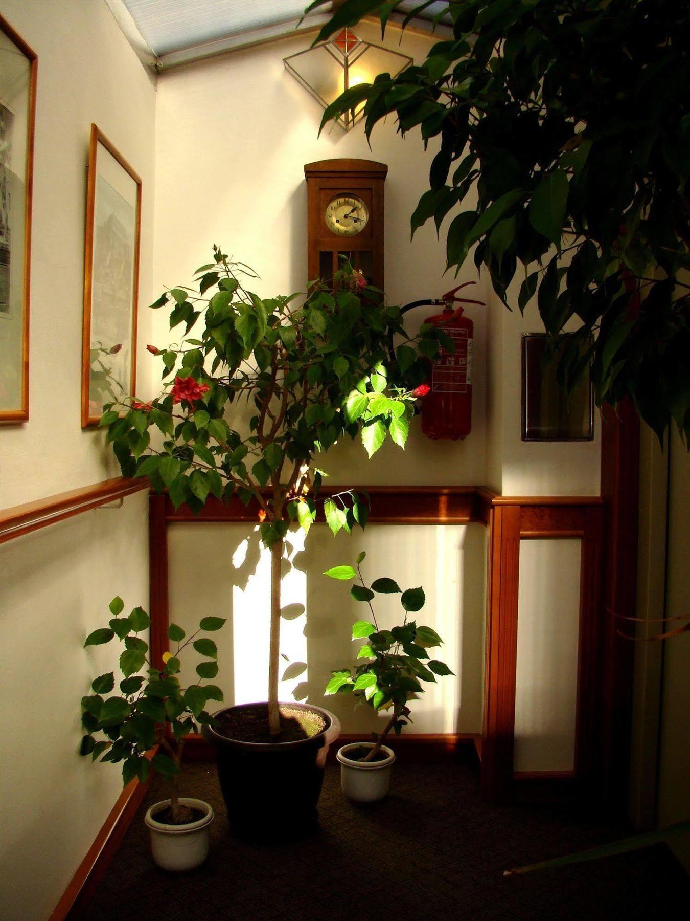 Boutique Hotel 16 Praha Bagian luar foto